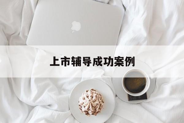 上市辅导成功案例(上市辅导成功后肯定会上市吗)云浮市 上市辅导成功案例(上市辅导成功后肯定会上市吗)云浮市