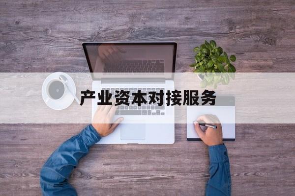 产业资本对接服务(产业资本对接服务包括哪些)云浮市